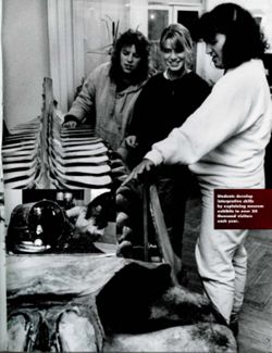 682dcf2e153151.32369918.pdf page 43