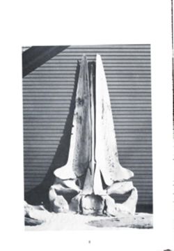 682dd16cde9ee3.78870458.pdf page 11