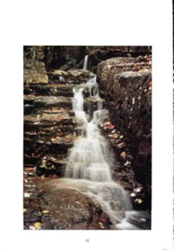 682dd16cde9ee3.78870458.pdf page 21