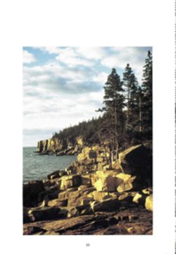 682dd16cde9ee3.78870458.pdf page 33