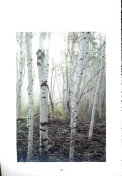 682dd16cde9ee3.78870458.pdf page 85