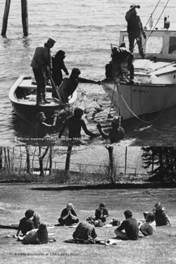 682dd307add655.25212544.pdf page 9