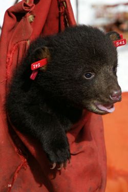 682dd307add655.25212544.pdf page 40