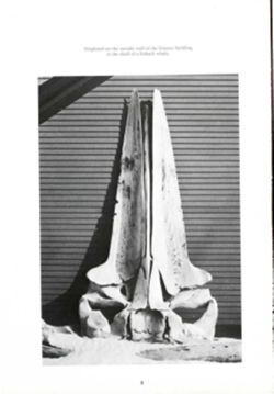 682dd74897a782.62719878.pdf page 10