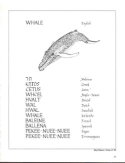 682ddf534d54d2.89776077.pdf page 33