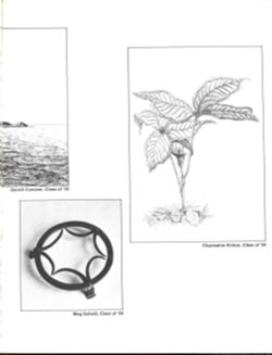 682ddf534d54d2.89776077.pdf page 37