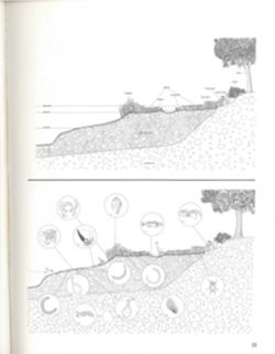 682de0a9cb3fb6.13660397.pdf page 25