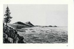 682de2d3927510.02469817.pdf page 62