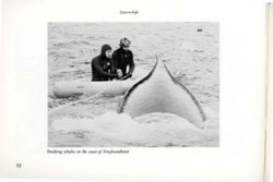 682de8c71168c8.43604623.pdf page 54