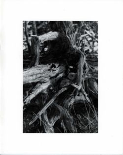 682de92cafbe71.53402404.pdf page 43