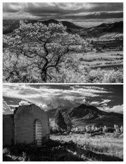 682deae7b389f9.38079554.pdf page 18