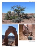 682deae7b389f9.38079554.pdf page 42