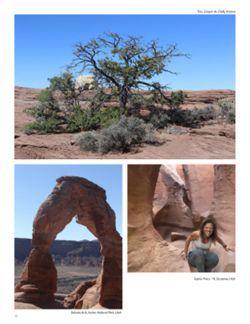 682deae7b389f9.38079554.pdf page 42