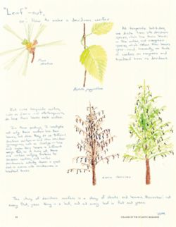 682defa46e0a37.24137990.pdf page 36