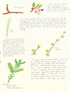 682defa46e0a37.24137990.pdf page 37