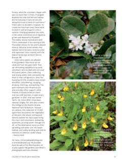 682defa46e0a37.24137990.pdf page 39