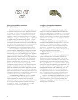 682df07846f1a1.47728120.pdf page 30