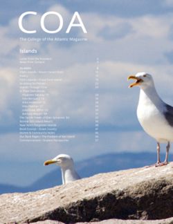 682df1a7497293.52946179.pdf page 2