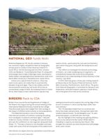 682df1a7497293.52946179.pdf page 7