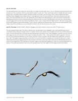 682df1a7497293.52946179.pdf page 23