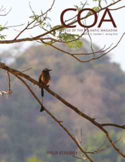 682dfa27ccff64.23849032.pdf page 1