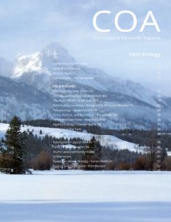 682dfa27ccff64.23849032.pdf page 3