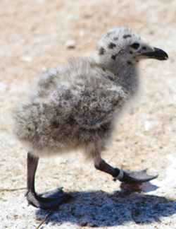 682dfa27ccff64.23849032.pdf page 16