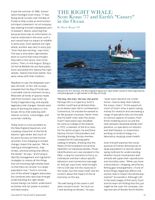 682dfa27ccff64.23849032.pdf page 21