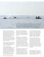 682dfa27ccff64.23849032.pdf page 23