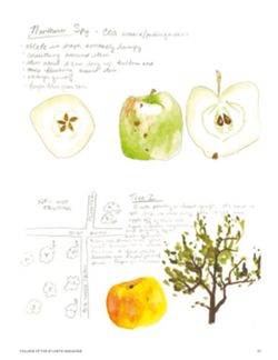 682dfa27ccff64.23849032.pdf page 39