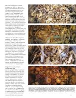 682dfbbc73d909.07336004.pdf page 21