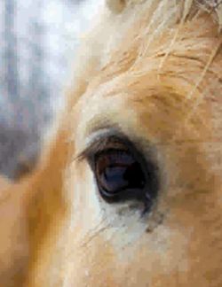 682dfd7b62dfa5.81481799.pdf page 3