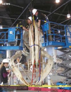 682dfd7b62dfa5.81481799.pdf page 10