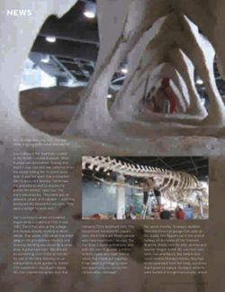 682dfd7b62dfa5.81481799.pdf page 12