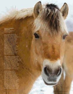 682dfd7b62dfa5.81481799.pdf page 18