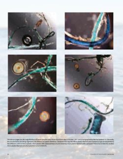 682dfd7b62dfa5.81481799.pdf page 30