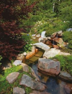 682dfd7b62dfa5.81481799.pdf page 38