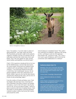 682dfef42d2ad6.99441383.pdf page 22