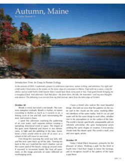 682dff8599b224.81407856.pdf page 17