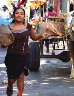 682e0065164cb2.52695503.pdf page 24