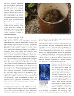 682e02fd1db3f2.21930552.pdf page 35