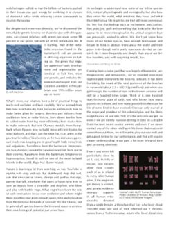 682e02fd1db3f2.21930552.pdf page 38