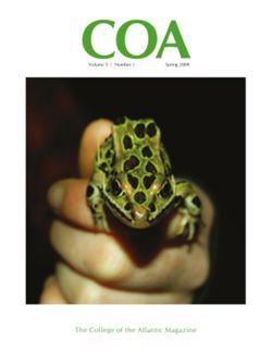 682e07128f54e2.64512308.pdf page 1