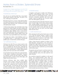 682e07128f54e2.64512308.pdf page 16