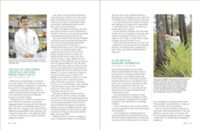 682e0750236396.37022570.pdf page 13