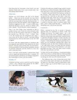 682e09d8226ef8.78056652.pdf page 15