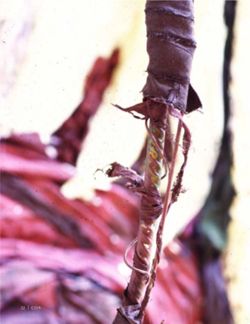 682e0af6ca18d0.98035854.pdf page 34