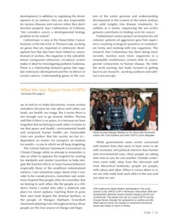 682e0bb9c51d40.16844597.pdf page 13