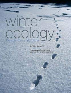 682e0bb9c51d40.16844597.pdf page 20