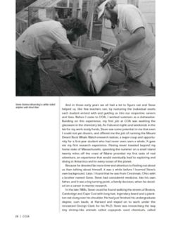 682e0d3d430ea8.93557530.pdf page 22